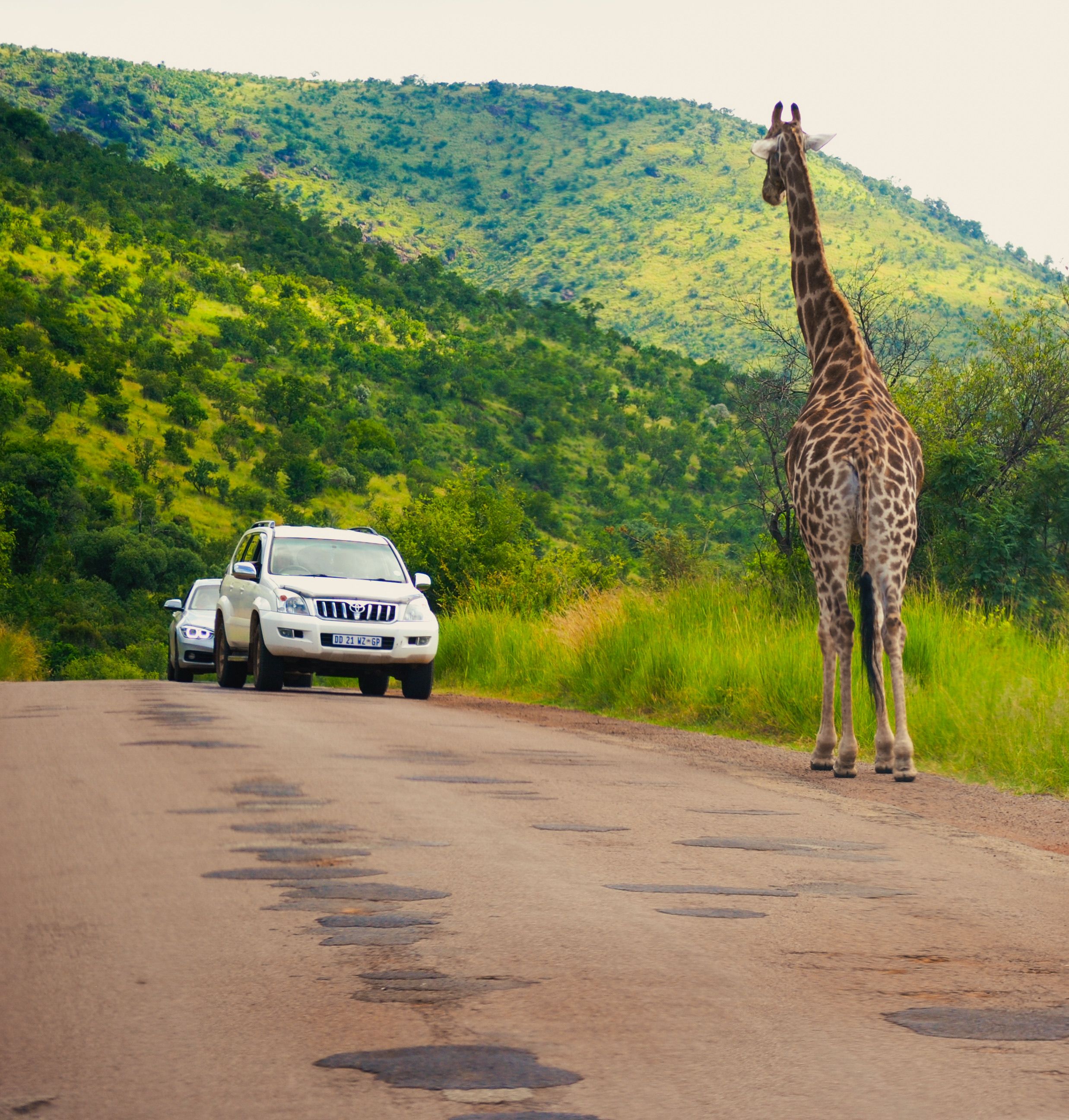 South Africa, Eswatini & Lesotho